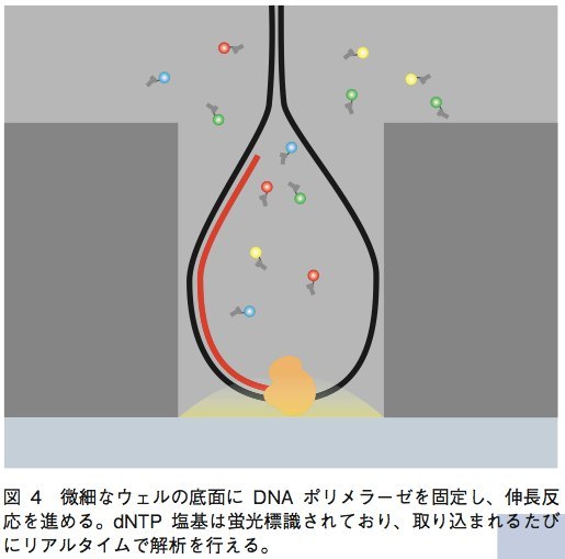 BioGARAGE-15_pridata_final.pdf（11_32ページ）