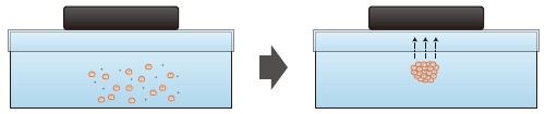 F5