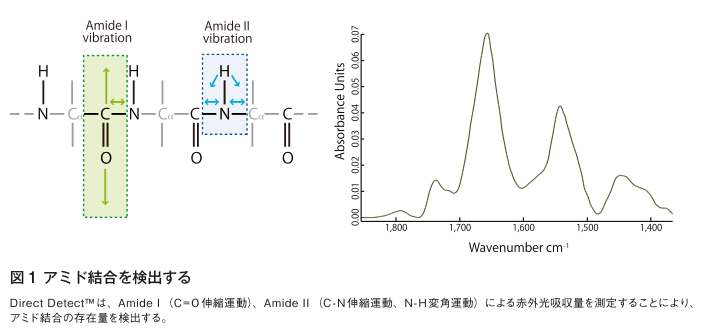 p12-13_fig2
