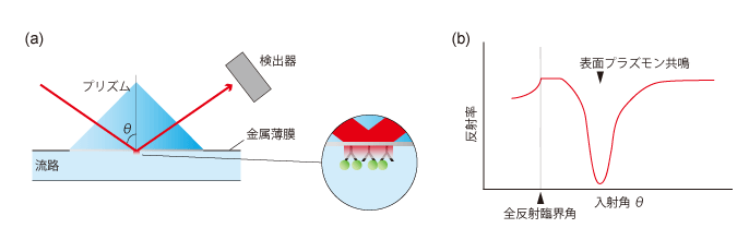 表面プラズモン共鳴法の概要
