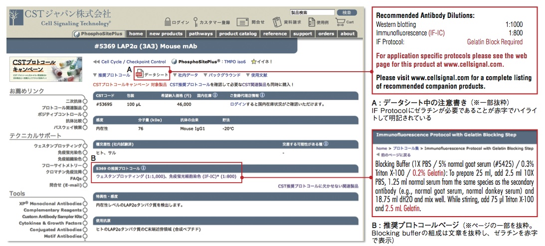 図2 ウェブページに掲載される推奨プロトコール