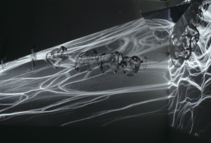 "metamorphorest in Linz" (2010)
