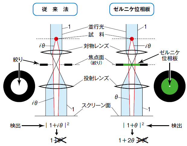 図1 従来法とゼルニケ位相違法の原理