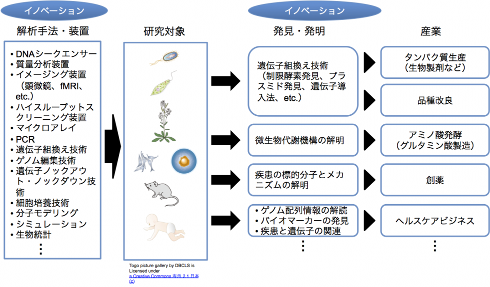 Bio_fig1
