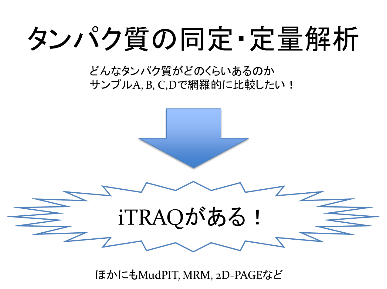 図1